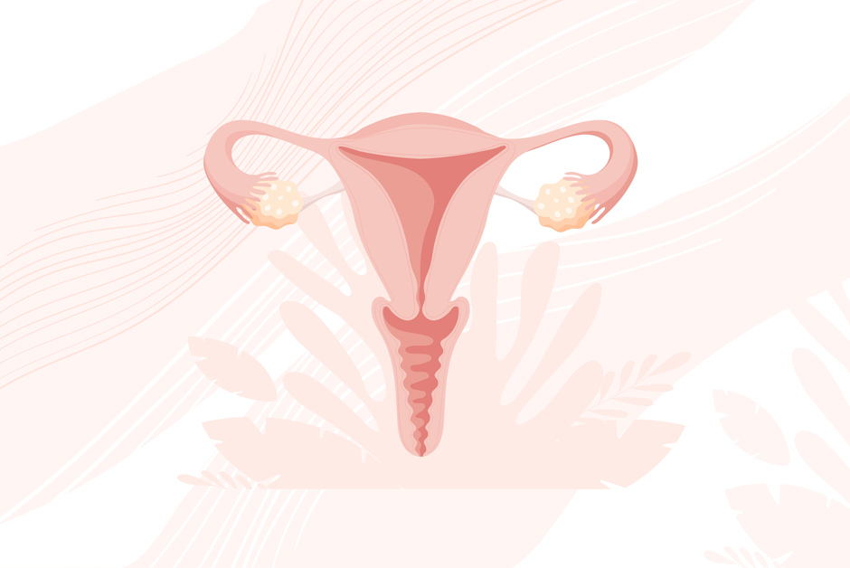Fibroids: What are they and how do they impact me?