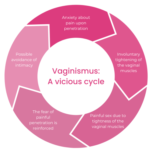 Vaginismus: A Vicious Cycle
