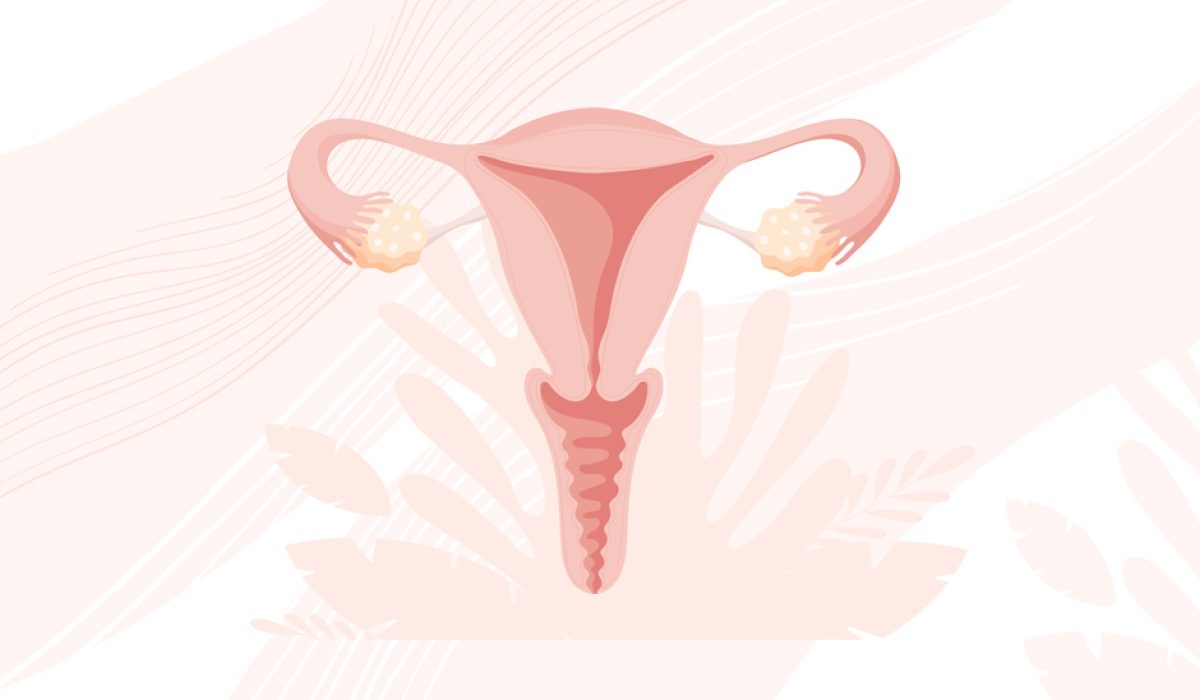 Fibroids: What are they and how do they impact me?