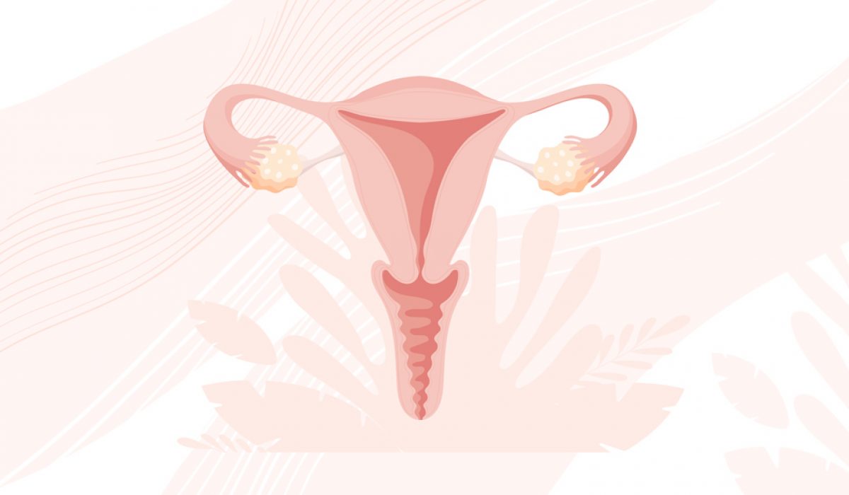 Fibroids: What are they and how do they impact me?