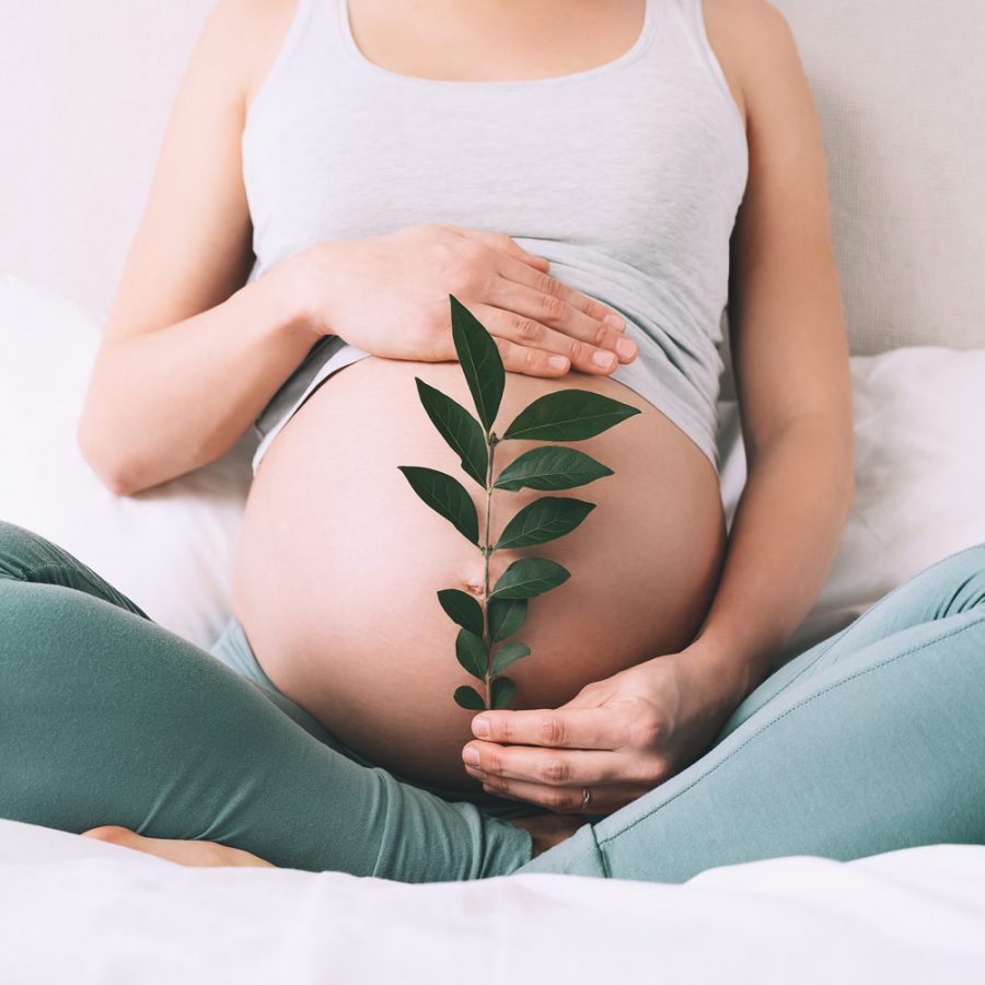 Treatment for fertility problems at The Gynae Centre Treatment for fertility problems at The Gynae Centre