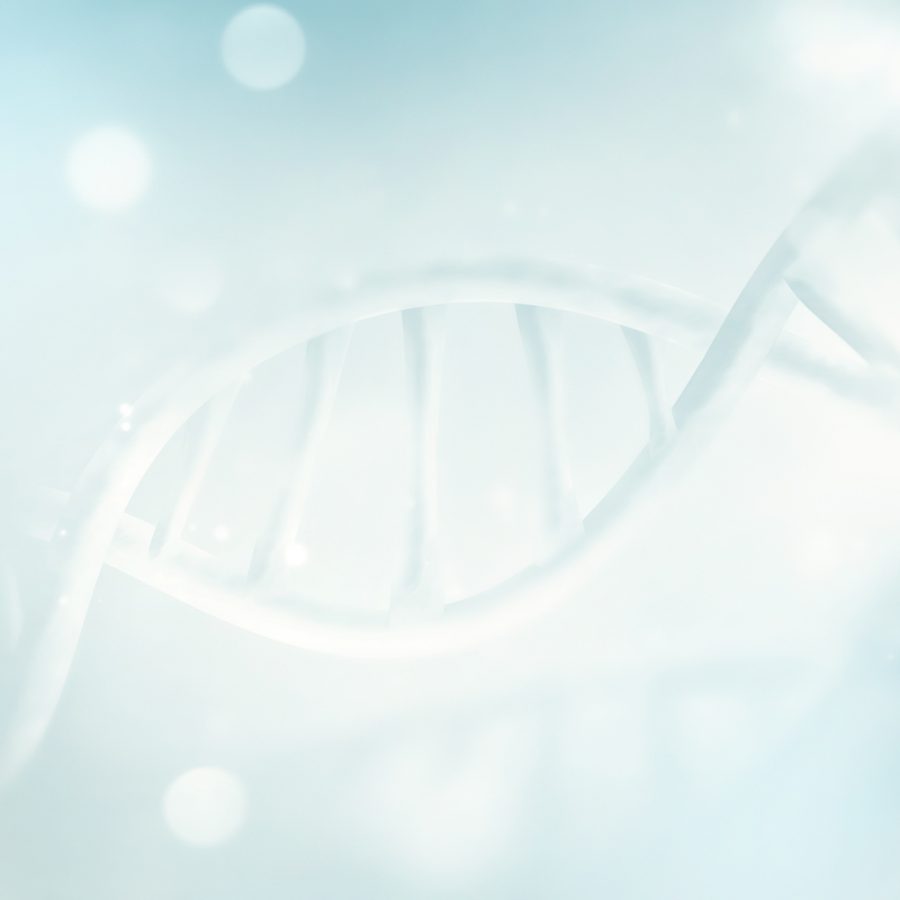 Panorama prenatal testing at The Gynae Centre Panorama prenatal testing at The Gynae Centre