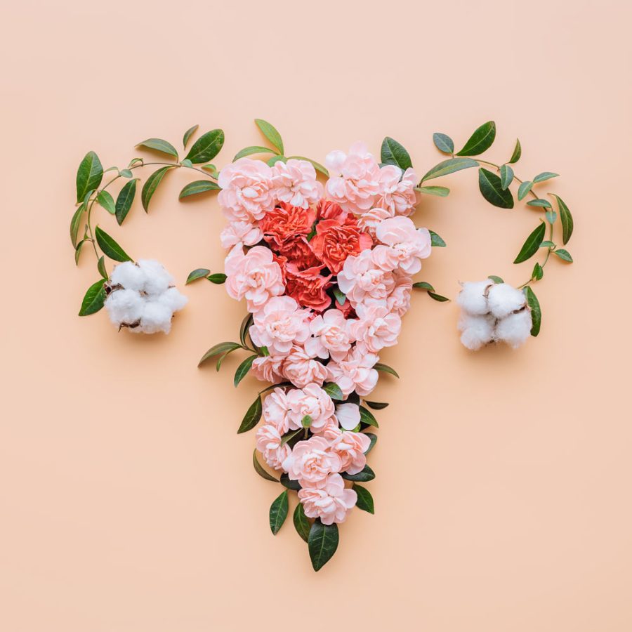 The Gynae Centre abortion and gynaecology clinic The Gynae Centre abortion and gynaecology clinic